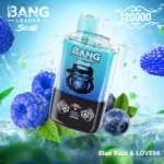 Bang Leader Stoll 120K｜2つのフレーバーを切り替えて長く楽しめる充電式VAPE - 画像 (11)
