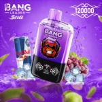 Bang Leader Stoll 120K｜2つのフレーバーを切り替えて長く楽しめる充電式VAPE - 画像 (8)