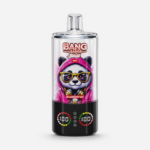 Bang Leader Stoll 100K – 10種類の個性的なマルチフレーバー