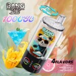 Bang Leader Stoll 100K – 10種類の個性的なマルチフレーバー - 画像 (2)
