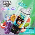 Bang Leader Stoll 100K – 10種類の個性的なマルチフレーバー - 画像 (3)