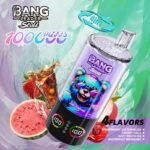 Bang Leader Stoll 100K – 10種類の個性的なマルチフレーバー - 画像 (9)