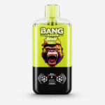Bang Leader Stoll 120K｜2つのフレーバーを切り替えて長く楽しめる充電式VAPE