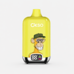 OKSO Digital Box 12K｜スマート画面で残量が見える、25mL充電式VAPE