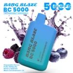 Bang Blaze BC 5000|コンパクトでもしっかり使える充電式5K VAPE・12フレーバー - 画像 (9)