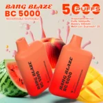 Bang Blaze BC 5000|コンパクトでもしっかり使える充電式5K VAPE・12フレーバー - 画像 (5)