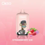 OKSO Digital Box 12K|スマート画面で残量が見える、25mL充電式VAPE - 画像 (6)